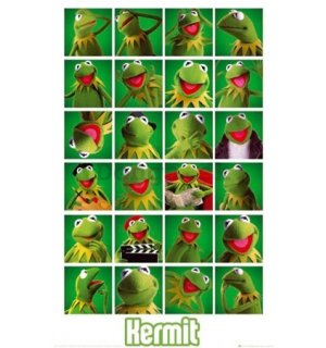 Plagát - The Muppets kermit collage