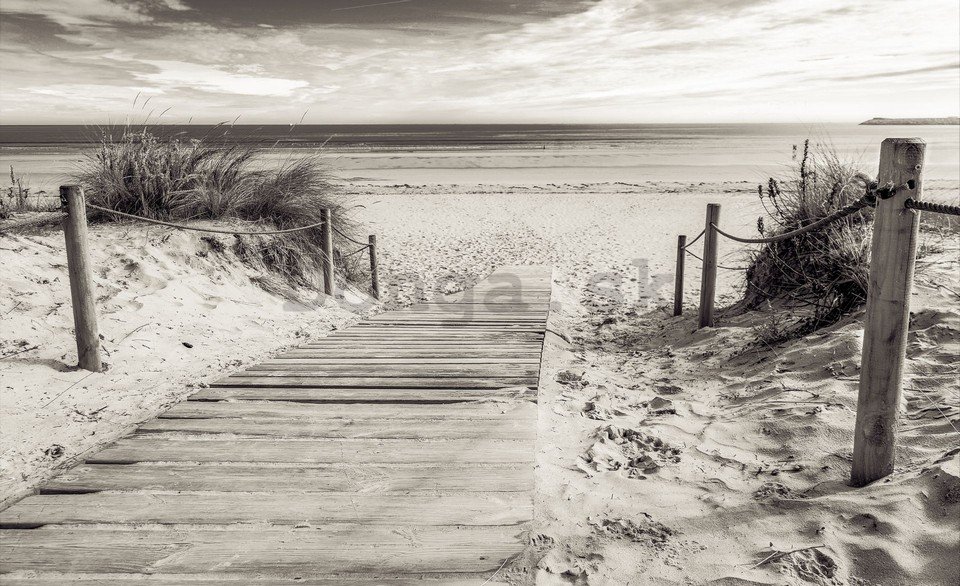 Fototapeta: Pláž (čiernobiela) - 254x368 cm