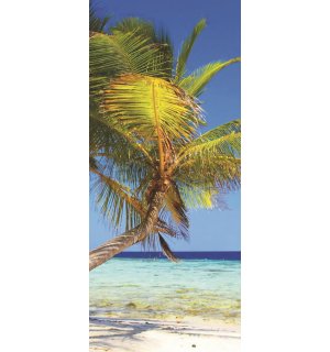 Fototapeta samolepiace: Pláž s palmou - 211x91 cm