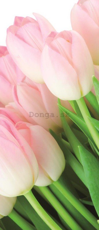 Fototapeta: Kytica tulipánov - 211x91 cm
