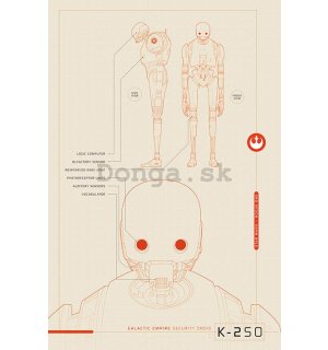 Plagát - Star Wars Rogue One (K-2S0 Blueprints)