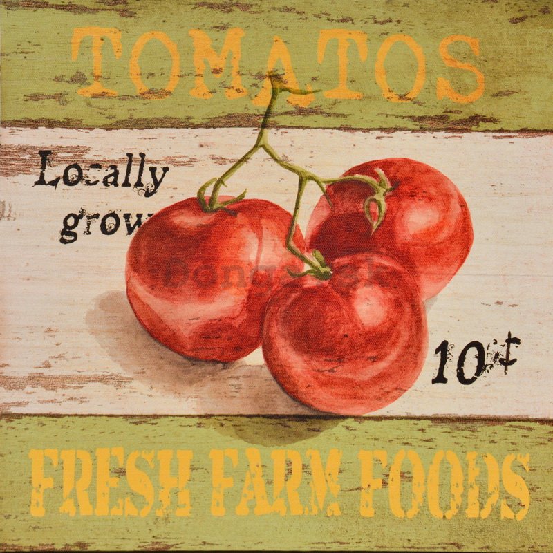 Obraz na plátne - Tomatos (Fresh Farm Foods)