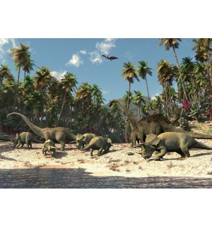 Fototapeta: Dinosaury - 184x254 cm