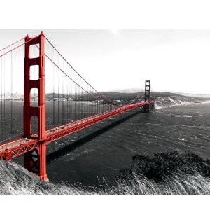 Obraz na plátne: Golden Gate Bridge (1) - 75x100 cm