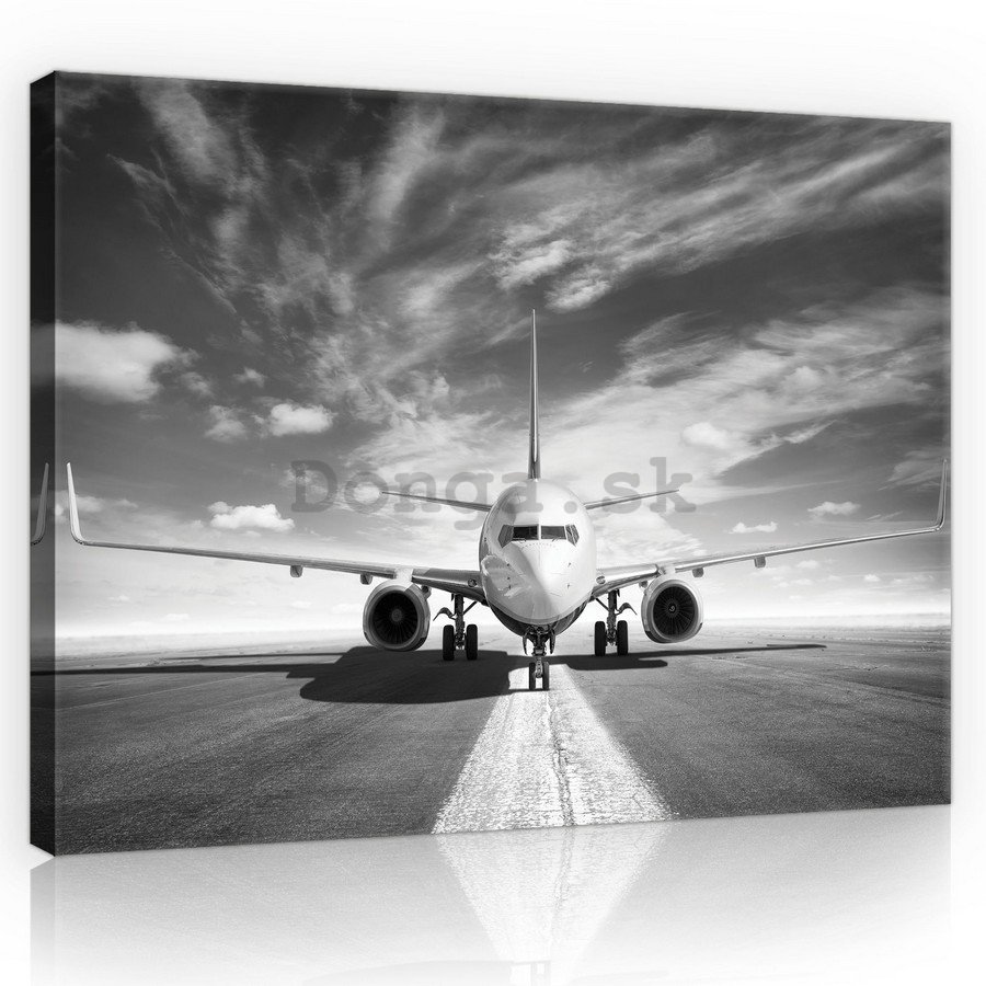 Obraz na plátne: Prúdové lietadlo (čiernobiele) - 75x100 cm