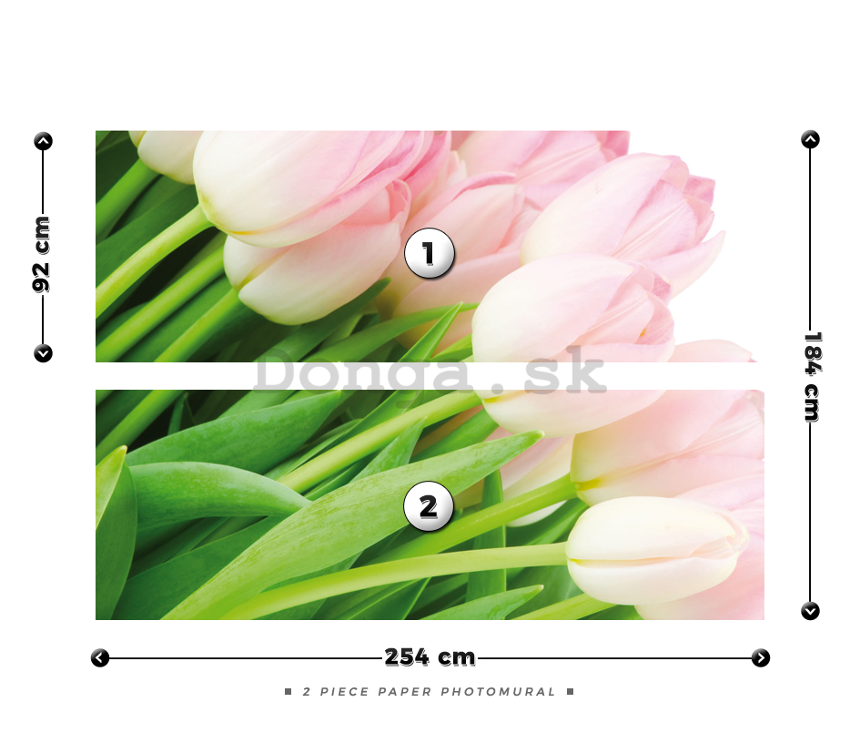 Fototapeta: Kytica tulipánov - 184x254 cm