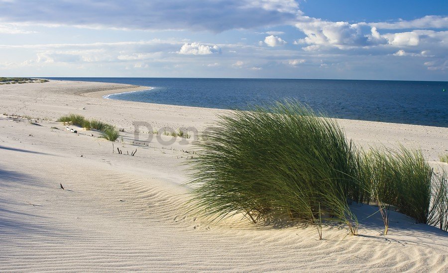 Fototapeta vliesová: Piesočná pláž (1) - 254x368 cm