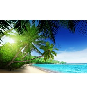 Fototapeta vliesová: Raj na pláži - 254x368 cm