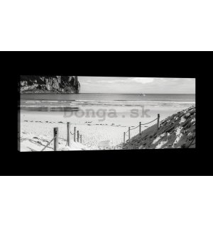 Obraz na plátne: Piesková pláž (čiernobiela) - 145x45 cm
