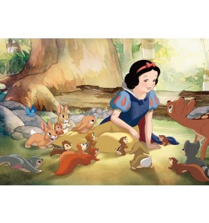 Fototapeta: Snehulienka a sedem trpaslíkov (Snow White) - 104x152,5 cm