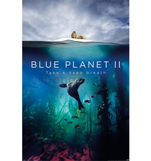 Plagát - Blue Planet 2 (Take A Deep Breath)