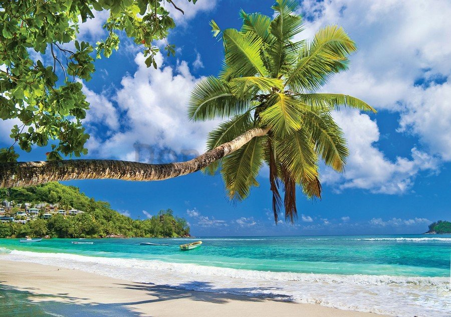 Fototapeta vliesová: Tropický raj (4) - 184x254 cm