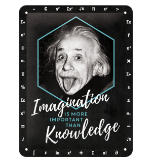 Plechová ceduľa: Einstein (Imagination & Knowledge) - 20x15 cm