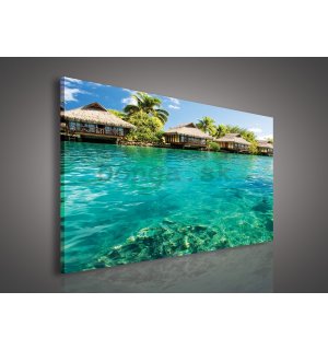 Obraz na plátne: Hawaii - 75x100 cm