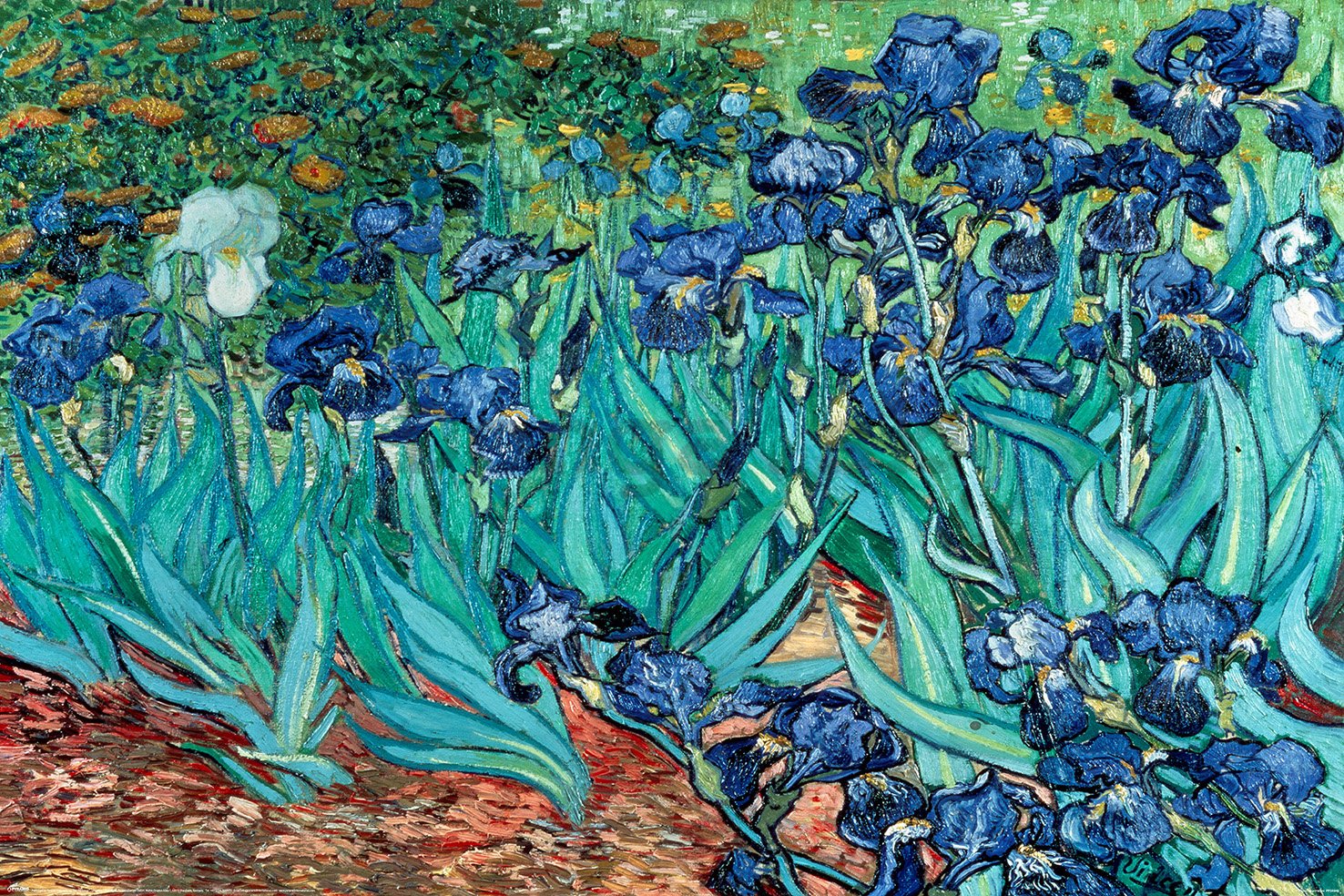 Plagát - Van Gogh (Les Irises)