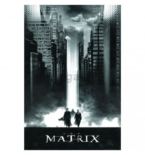 Plagát - The Matrix (Lightfall)