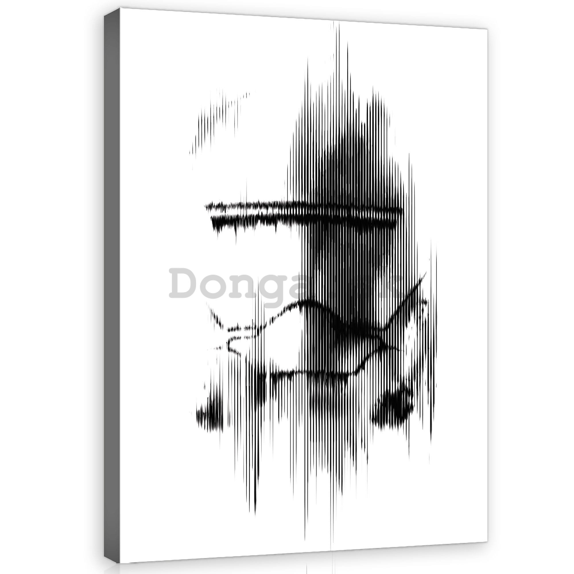 Obraz na plátne: Star Wars First Order Jet Trooper - 75x100 cm