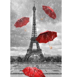 Plagát: Eifellova veža a dáždniky
