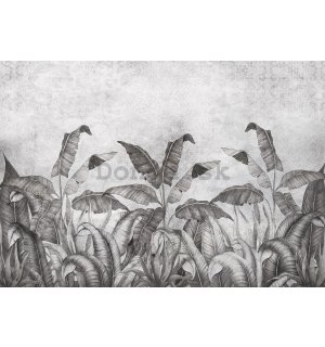 Fototapeta vliesová: Imitácia prírodných listov čiernobiele (2) - 254x184 cm