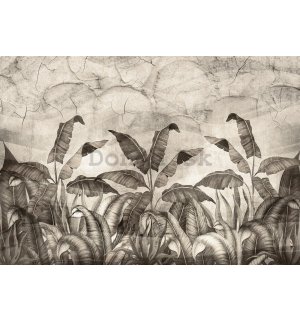 Fototapeta vliesová: Imitácia prírodných listov čiernobiele - 368x254 cm