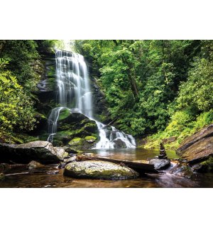 Fototapeta vliesová: Biely vodopád v lese - 416x254 cm