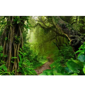 Fototapeta vliesová: Chodník v lese - 254x184 cm