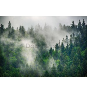 Fototapeta vliesová: Hmla nad lesom (5) - 368x254 cm