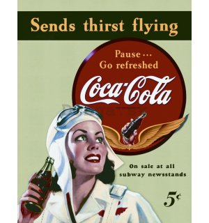 Plechová ceduľa - Coca-Cola (send thirst flying)