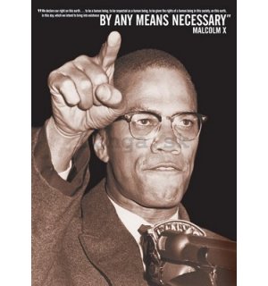 Plagát - Malcolm X
