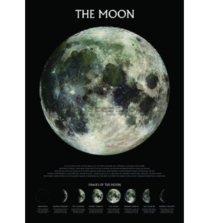 Plagát - The Moon