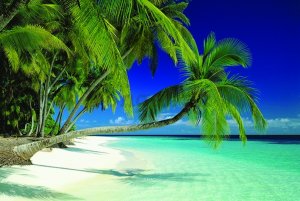 Plagát - Maldives Beach