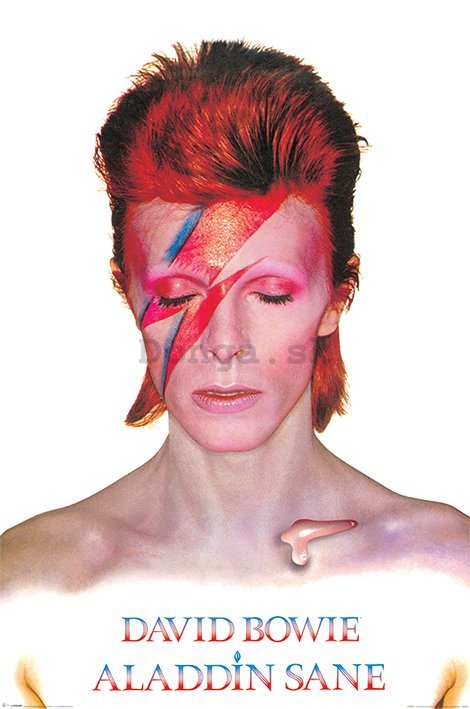 Plagát - David Bowie (Alladin Sane)