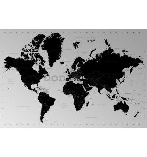 Plagát - World Map (Contemporary)