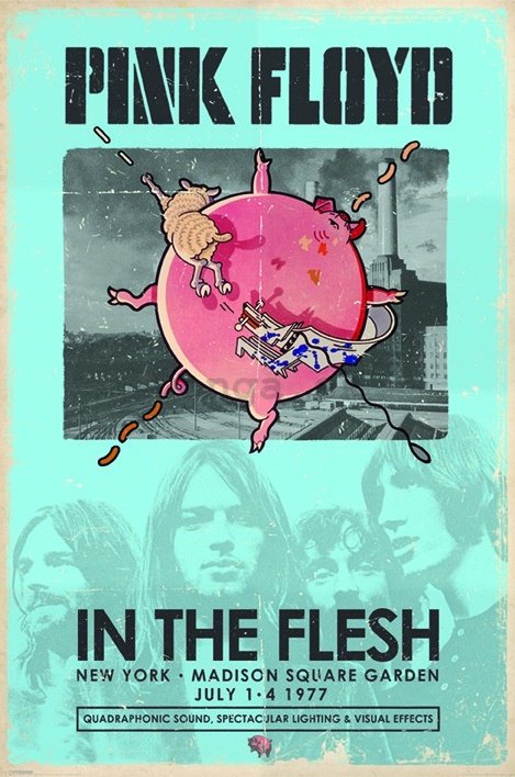 Plagát - Pink Floyd (In The Flesh)