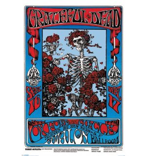 Plagát - FD Skeleton & Roses GD.