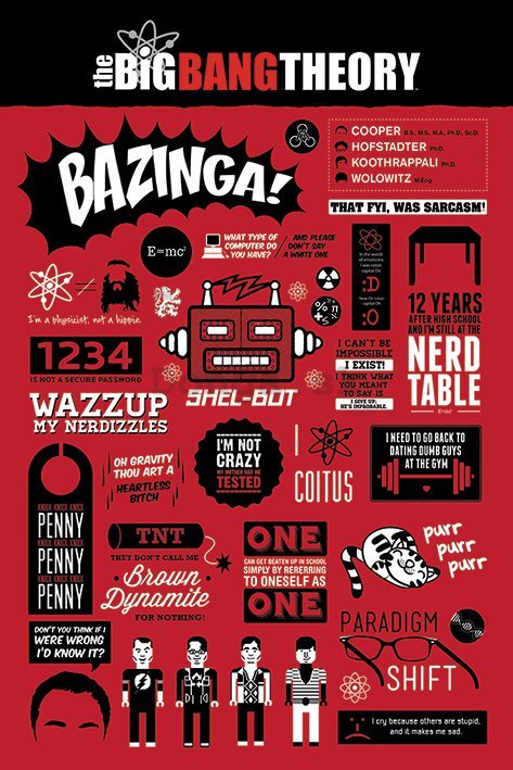 Plagát - The Big Bang Theory (Infografika)