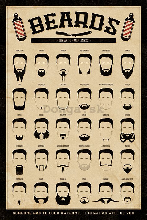 Plagát - Beards (The Art of Manliness)