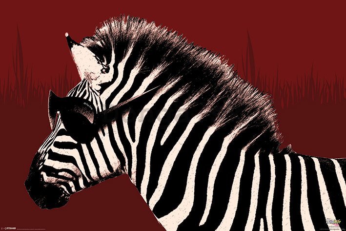 Plagát - Troy (zebra)