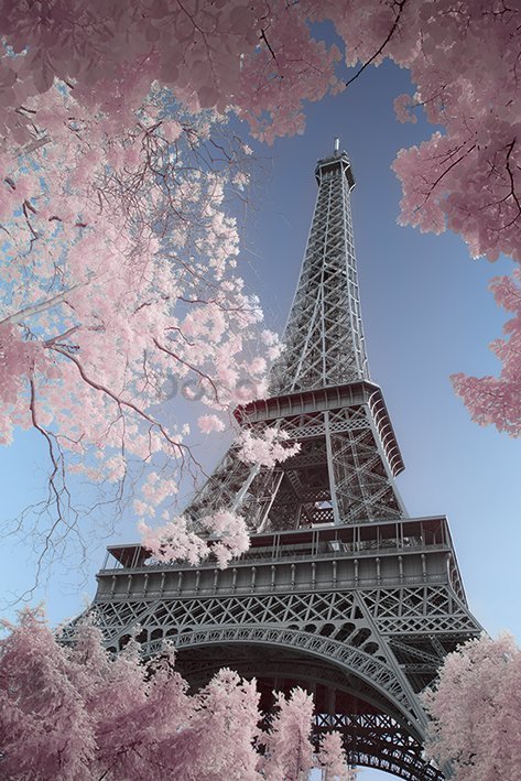 Plagát - Eiffelova veža, David Clapp