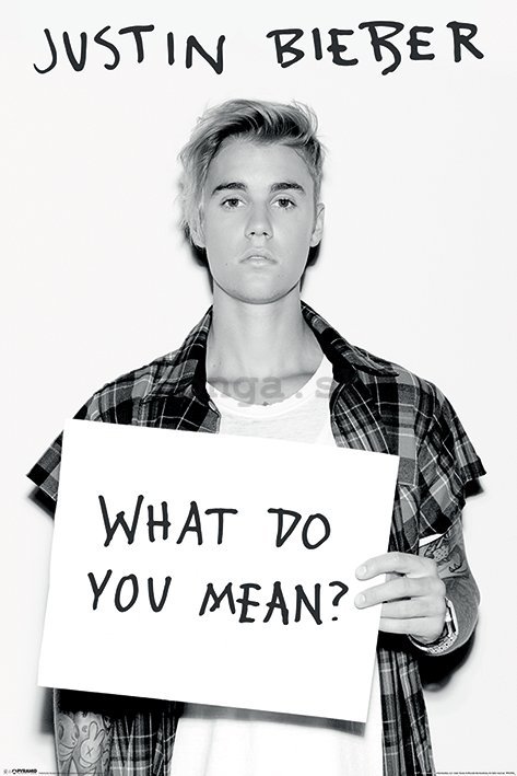 Plagát - Justin Bieber (What Do You Mean?)