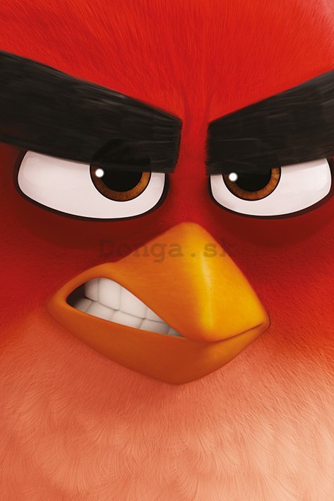 Plagát - Angry Birds (1)