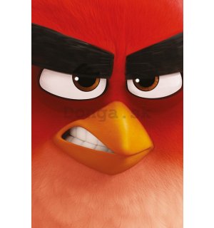Plagát - Angry Birds (1)