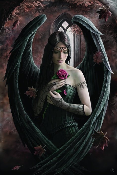 Plagát - Angel Rose