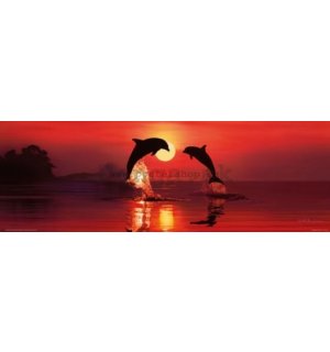 Plagát - Lassen dolphin dawn (2)