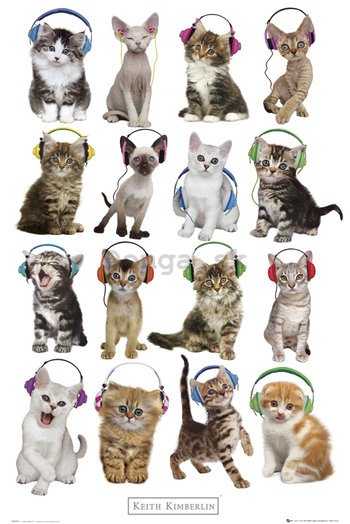 Plagát - Mačky so slúchadlami, Keith Kimberlin