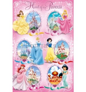 Plagát - Disney princess castles