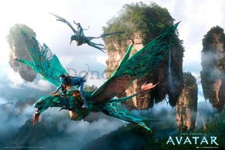 Plagát - Avatar flying
