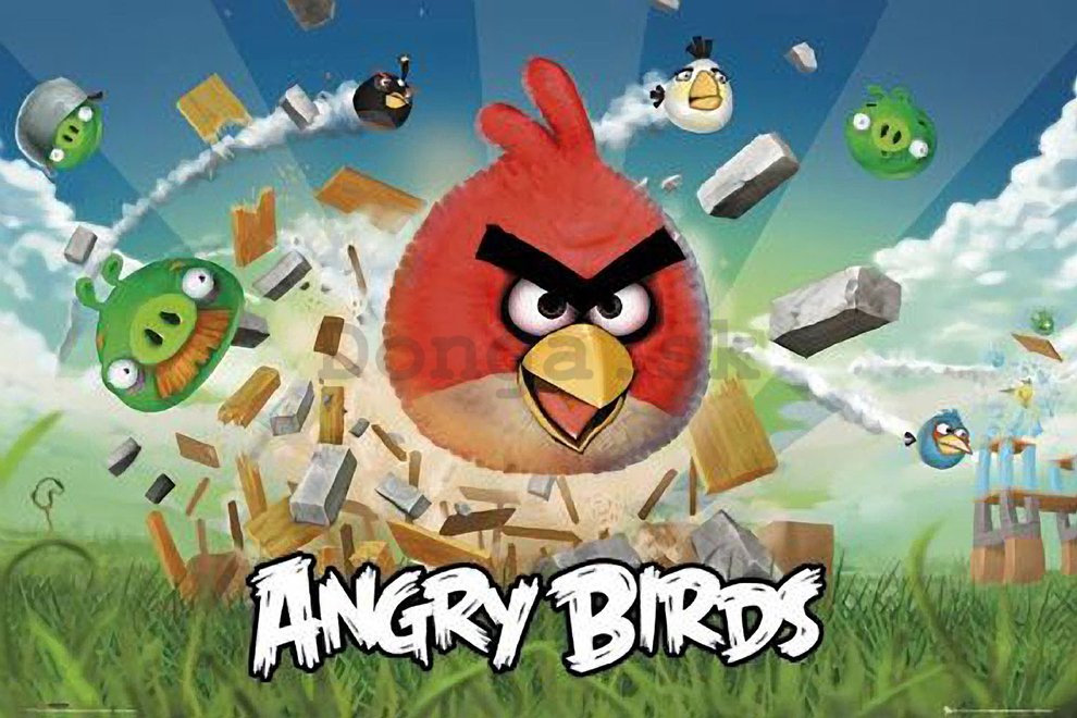 Plagát - Angry Birds