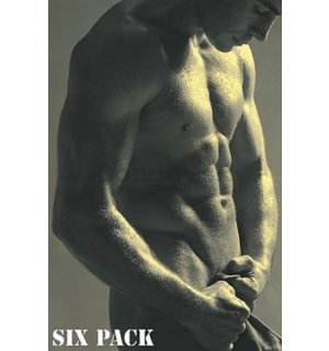 Plagát - Six Pack