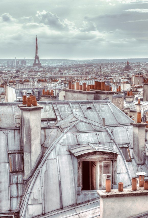 Fototapeta: Panorama Paríža - 158x232 cm